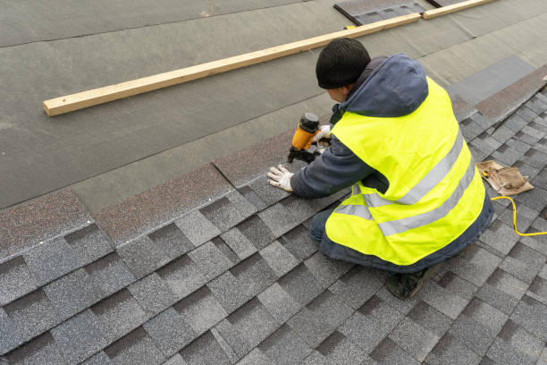 Best Roof Gutter Cleaning  in Bryan, OH