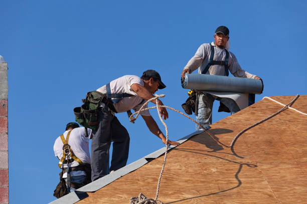 Best Metal Roofing Contractor  in Bryan, OH