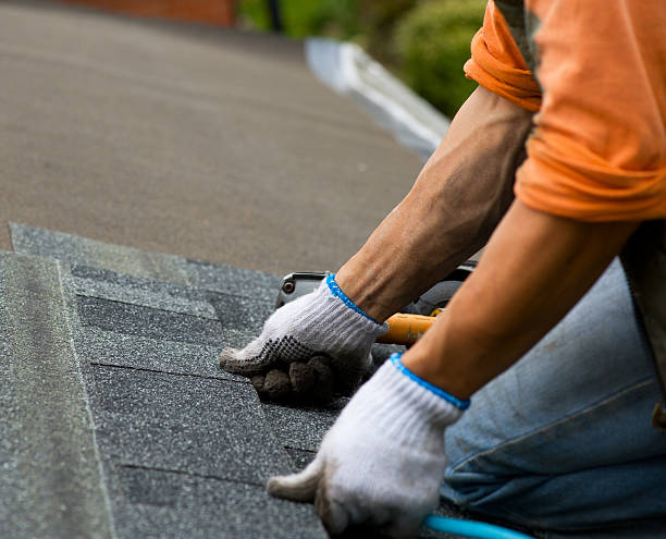 Best Gutter Installation and Roofing  in Bryan, OH